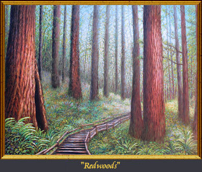 Redwoods