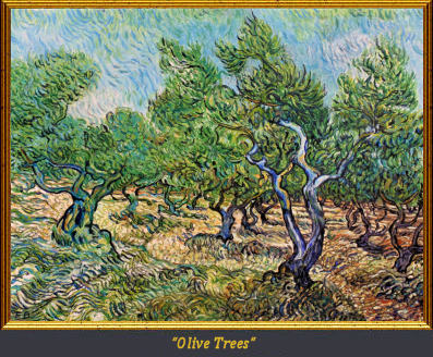 Olive trees